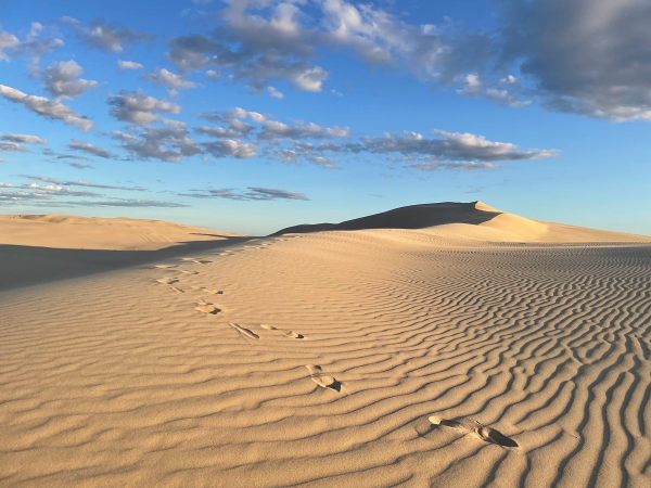 sand dunes in Port Stephens