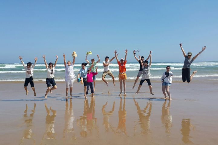 a group of people walking on a beach