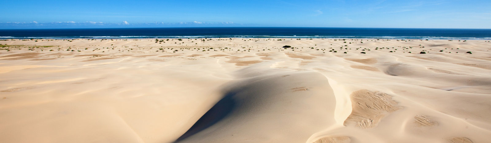 sand-dunes-stockton-beach a top view of Stockton Beach sand dunes