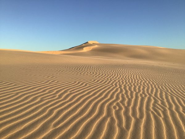 a close up of a sand dune