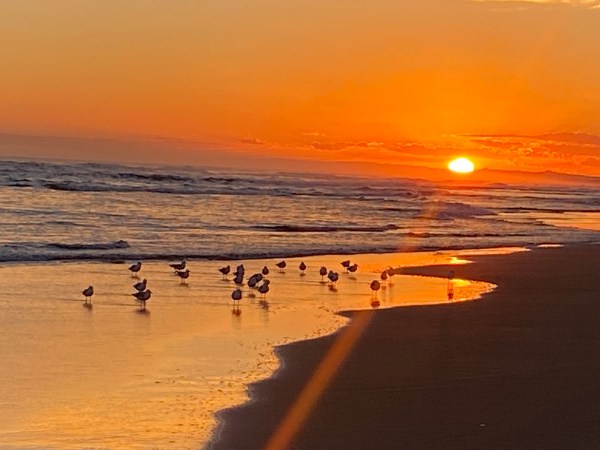 a sunset over a beach next to a body of water