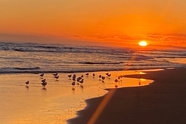 a sunset over a beach next to a body of water